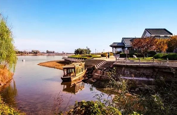 开发区-青岛团建公司,青岛户外拓展训练|定制化团队建设方案-青岛众行远管理咨询