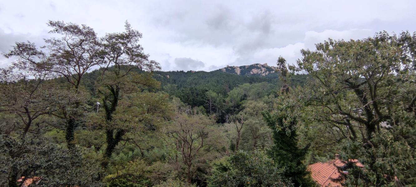 青岛九水书院-青岛拓展培训公司|专业拓展训练服务-青岛众行远管理咨询