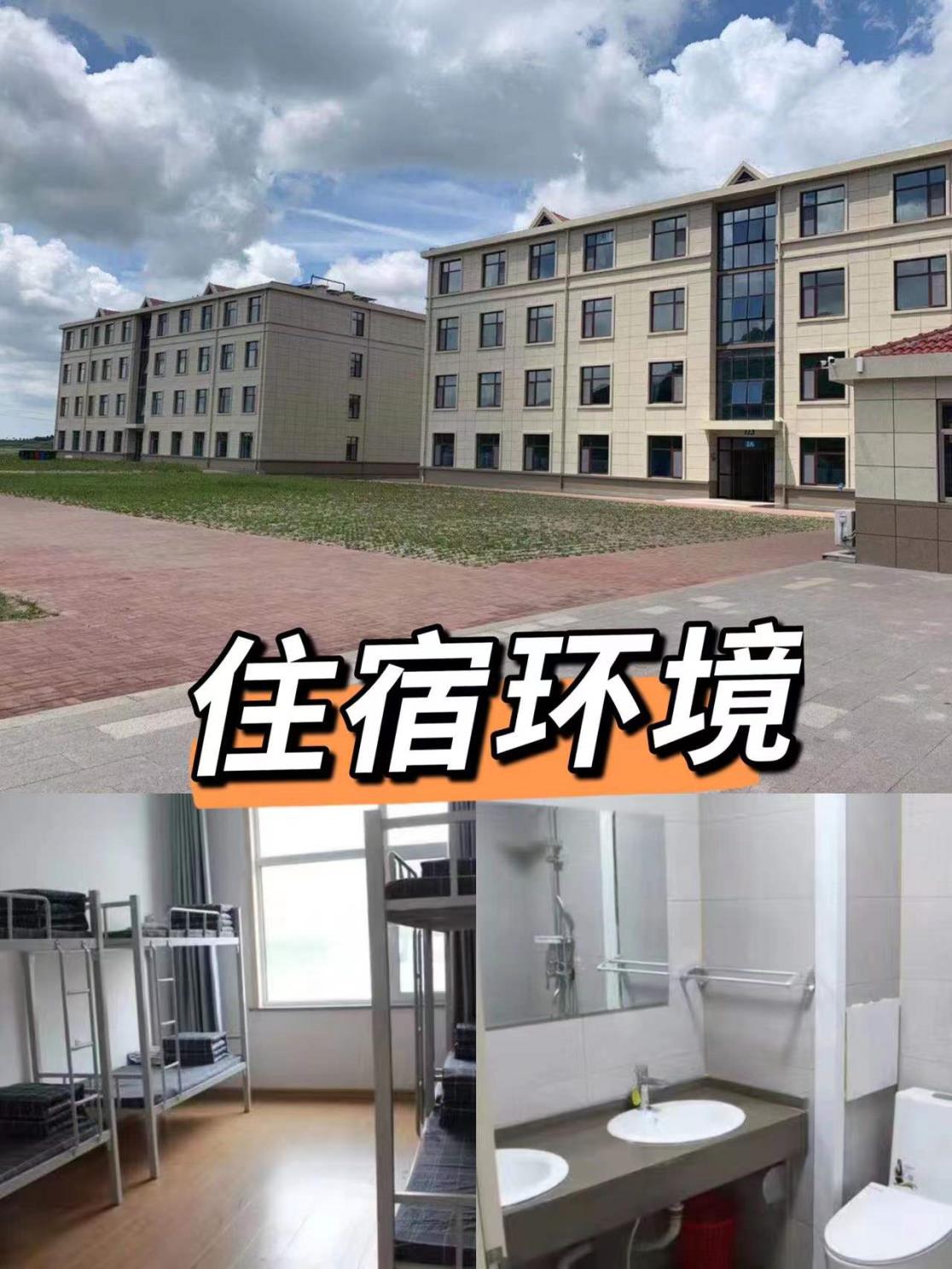 冲锋者勇士障碍赛青岛营地-青岛拓展培训公司|青岛团建胜地|专业拓展训练服务-青岛众行远管理咨询