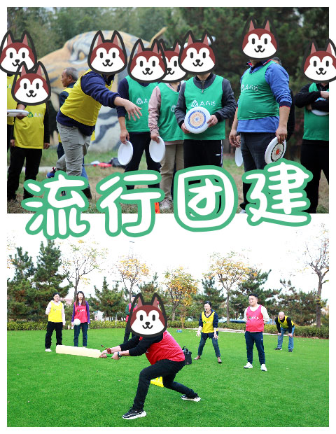 青岛拓展，青岛拓展训练，青岛团建，请致电青岛众行远