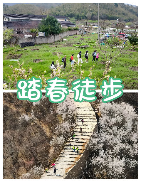 青岛拓展，青岛拓展训练，青岛团建，请致电青岛众行远