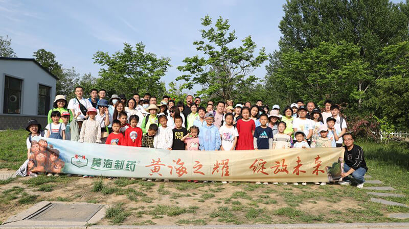黄海之耀，华丽绽放